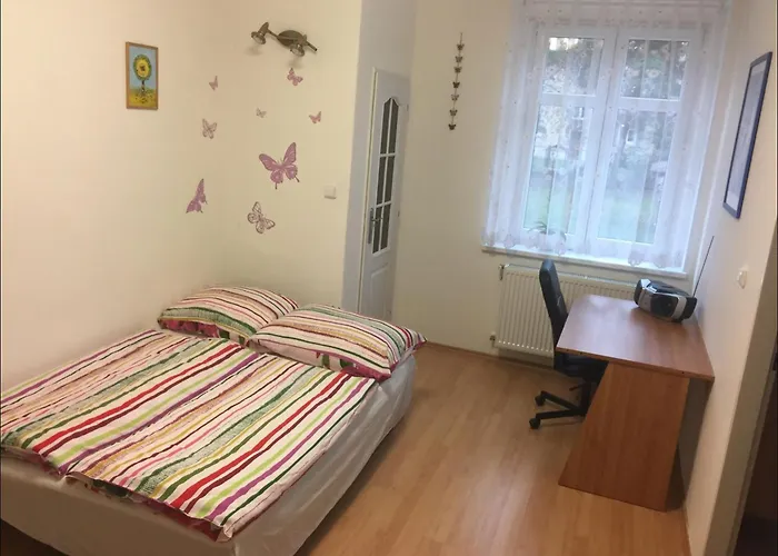Apartman Oaza Dc